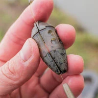 Preston Innovations ICS In-Line Maggot Feeders